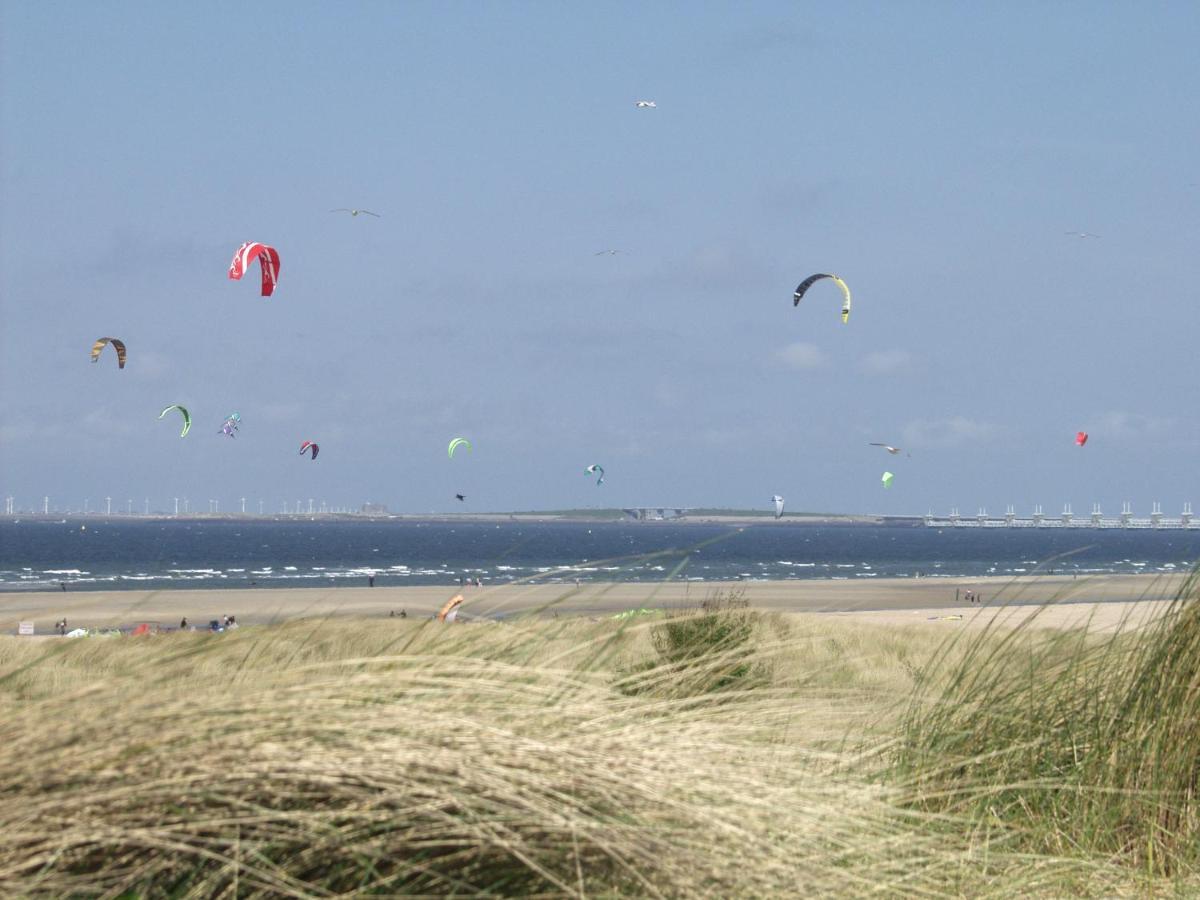 Walvis Nr. 16b Vrouwenpolder