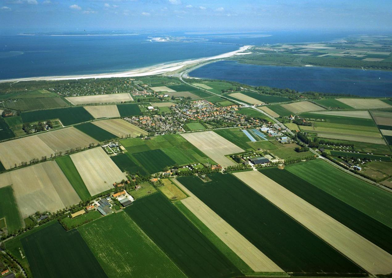 Walvis Nr. 16b * Vrouwenpolder